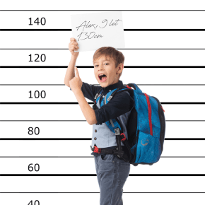 Bagmaster VEGA 26 A školní batoh – lev - náhled 2